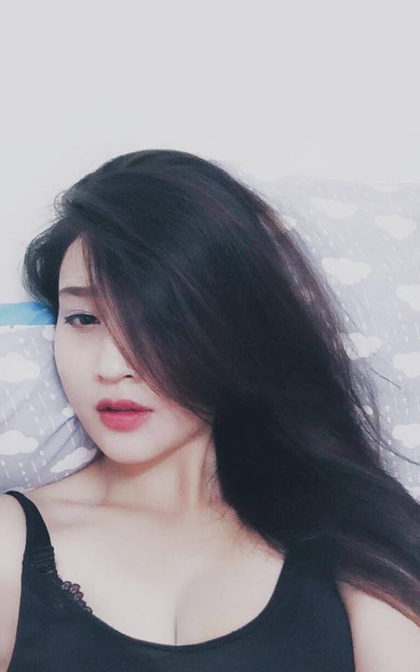 宠物宝贝环游记